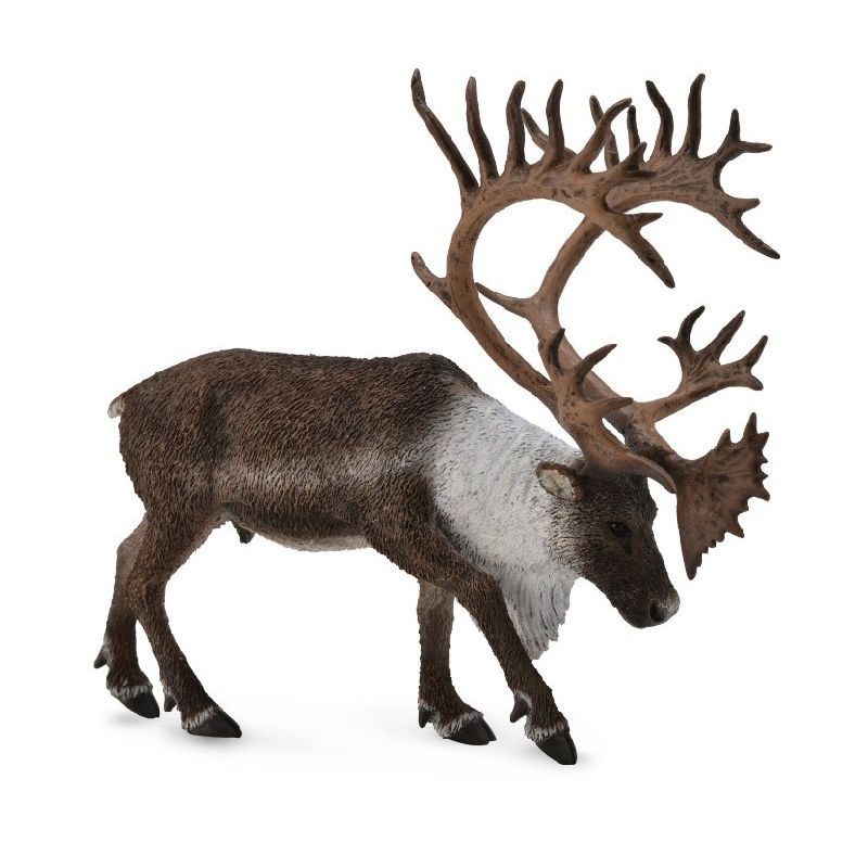 CollectA Woodland Caribou