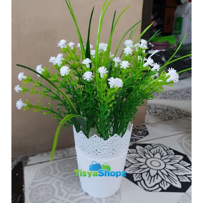 Rumput Baby Breath + Pot Renda