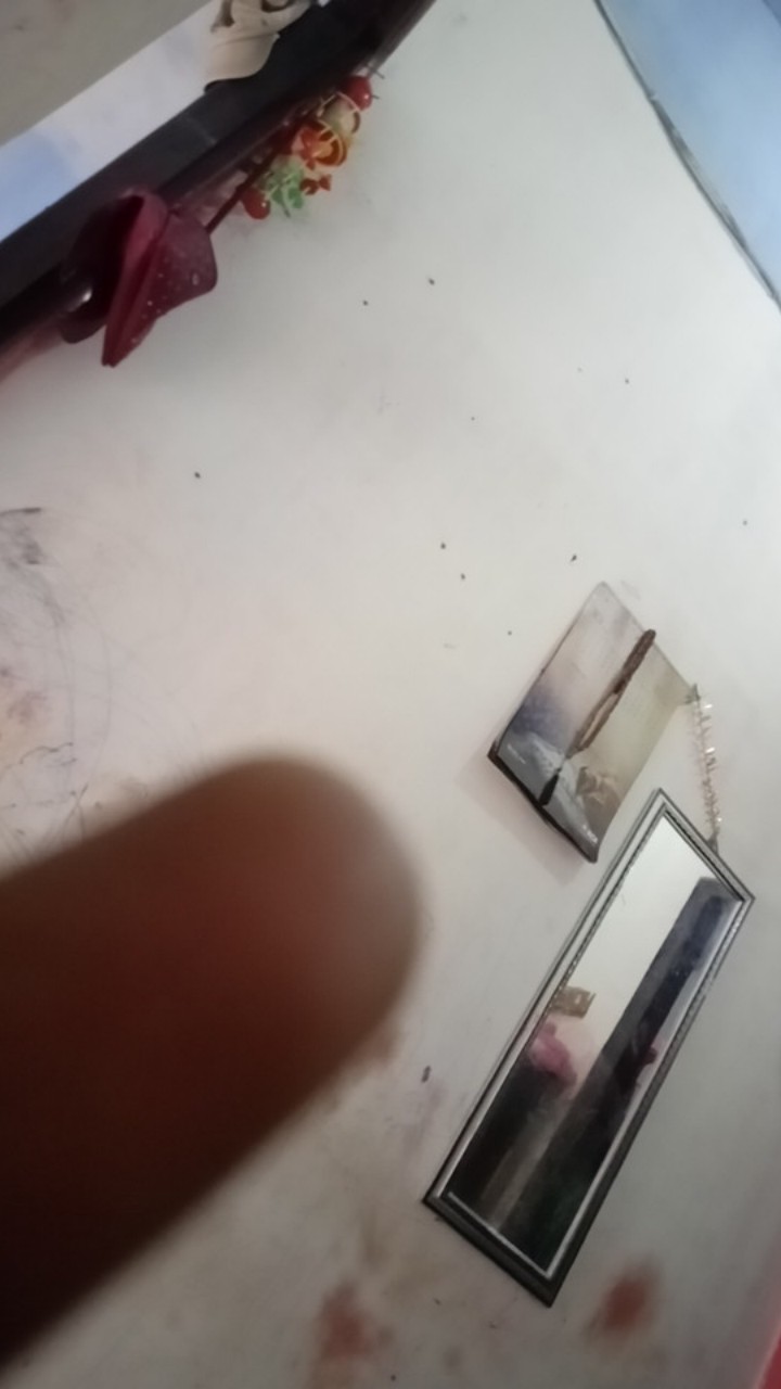 Timbangan Dapur Digital 10 Kg / Timbangan Kue / Timbangan Digital / Sf400