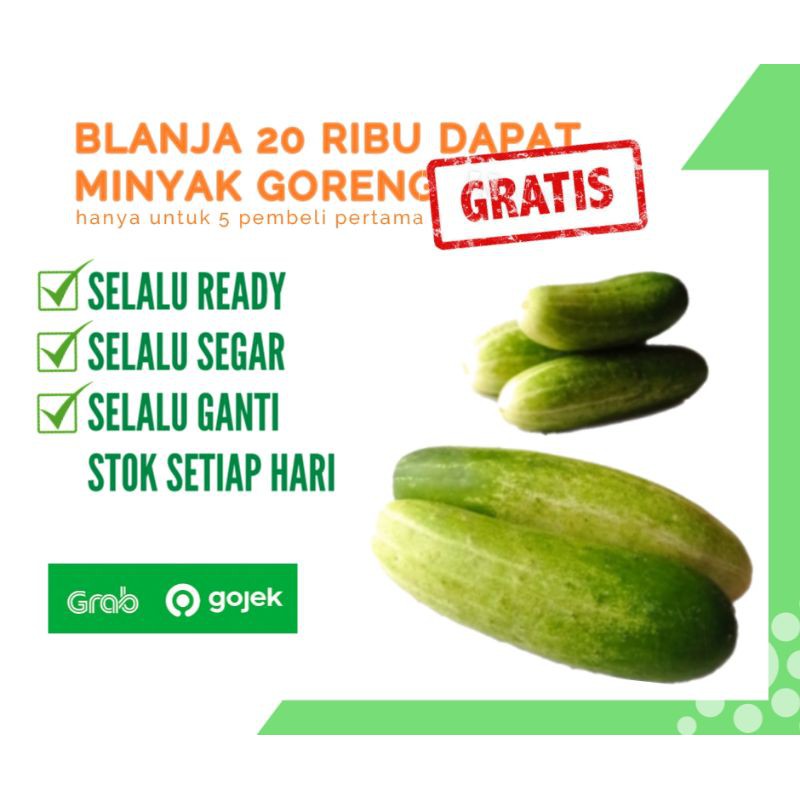 

TIMUN SEGAR 500 GRAM