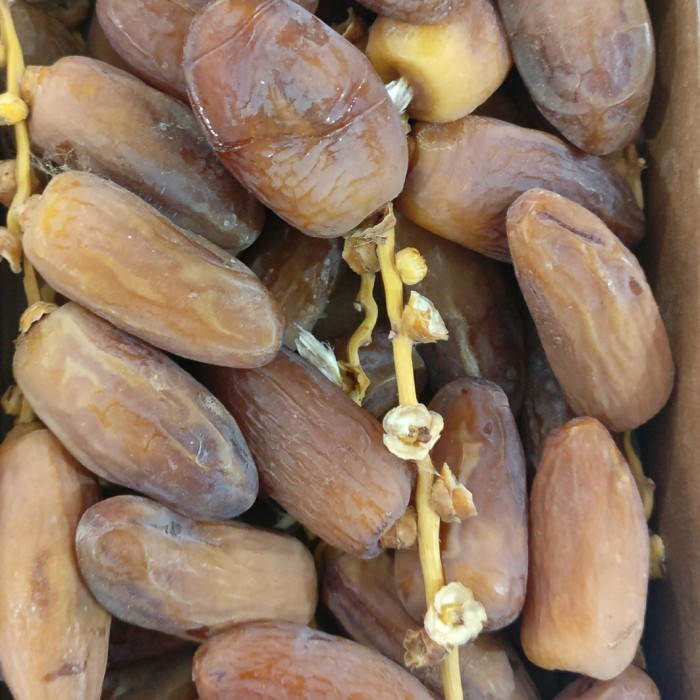 

Kurma Terbaru - Kurma Tunisia Tangkai 5Kg Terlaris
