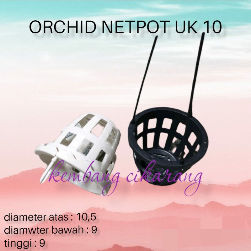 ORCHID NETPOT uk 10 pot gantung anggrek bagus cantik termasuk tali gantungan