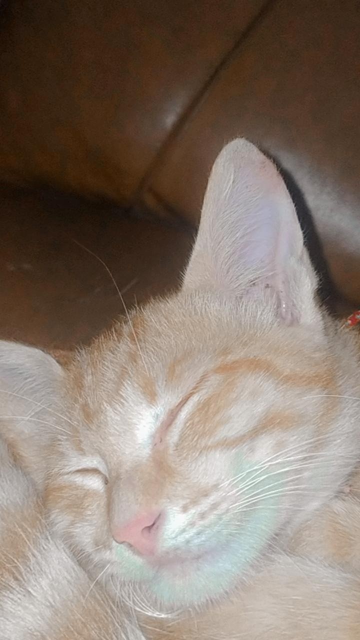 ( Promo) As Gergaji Serkel Ukuran 3/4inch Panjang 30cm