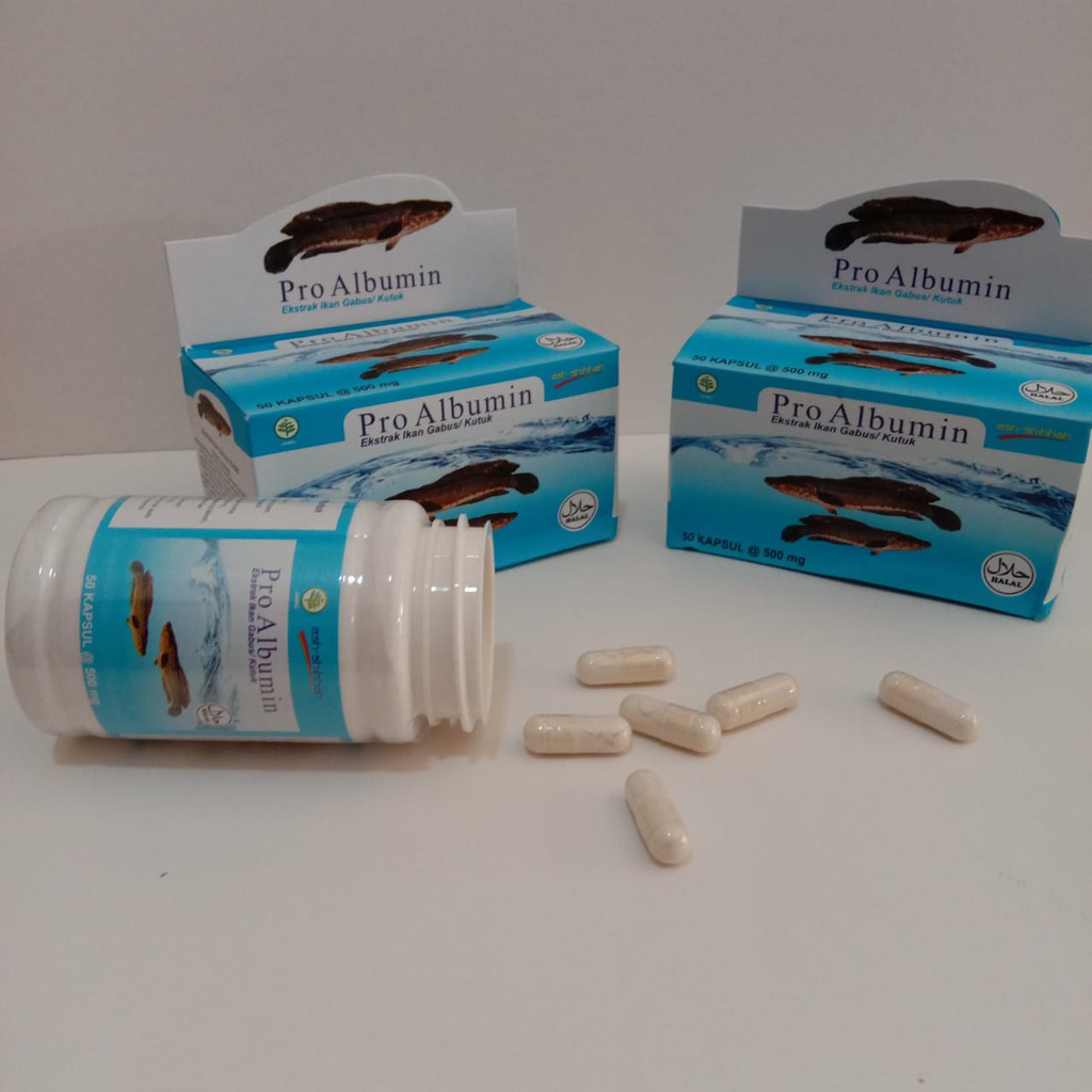 

Ekstrak Ikan Gabus/ Kutuk