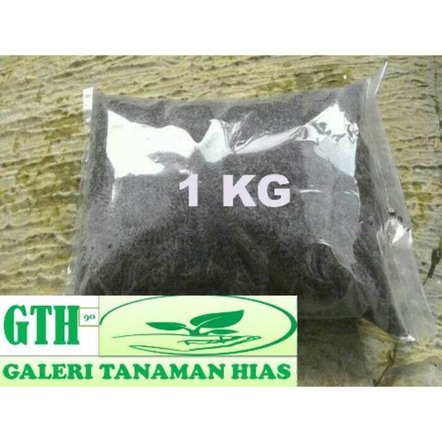 1000g Media sekam bakar | Arang sekam bakar | Sekam bakar 1000g