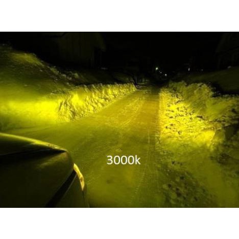 Segera Miliki H11 Bohlam Fog Lamp 30 Watt Kuning Super Bright Gilaa