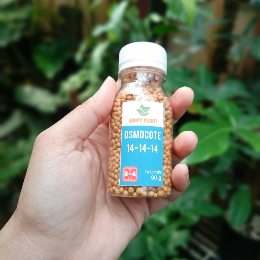 Pupuk Slow Release Osmocote Seimbang 90gr