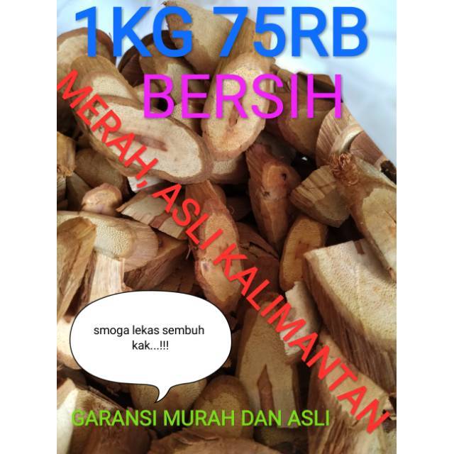 

PROMO BAJAKAH 1KG 75RB MERAH ASLI KALIMANTAN