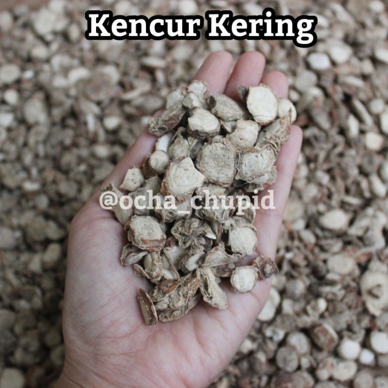 

Kencur Kering