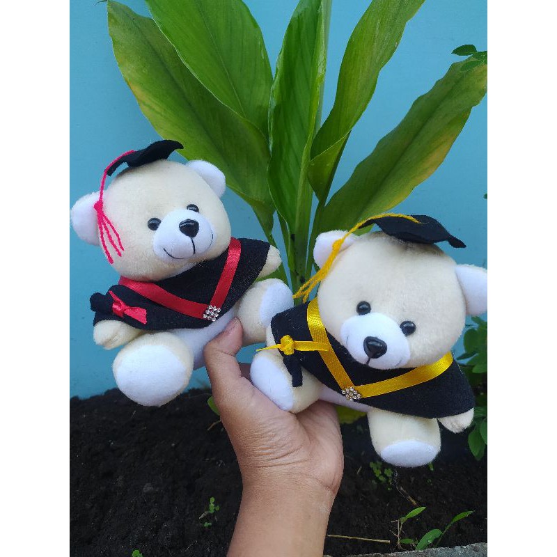 PROMO BONEKA WISUDA/BONEKA BUKET/BONEKA HAMPERS/BONEKA MURAH