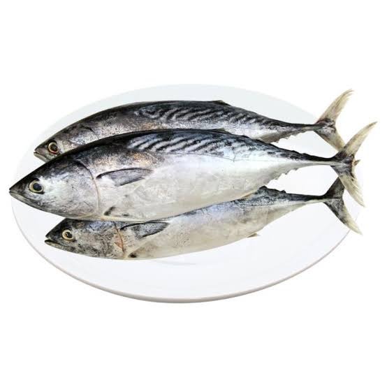 

Ikan Tongkol (500 gr)