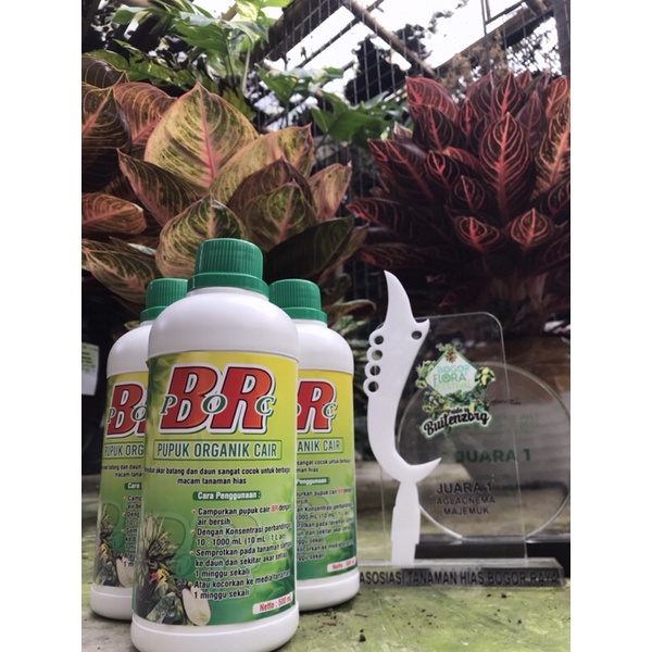 BR POC (Pupuk Organik Cair) Kemasan 500ml // Pupuk Cair Organik // pupuk tanaman hias // pupuk cair 