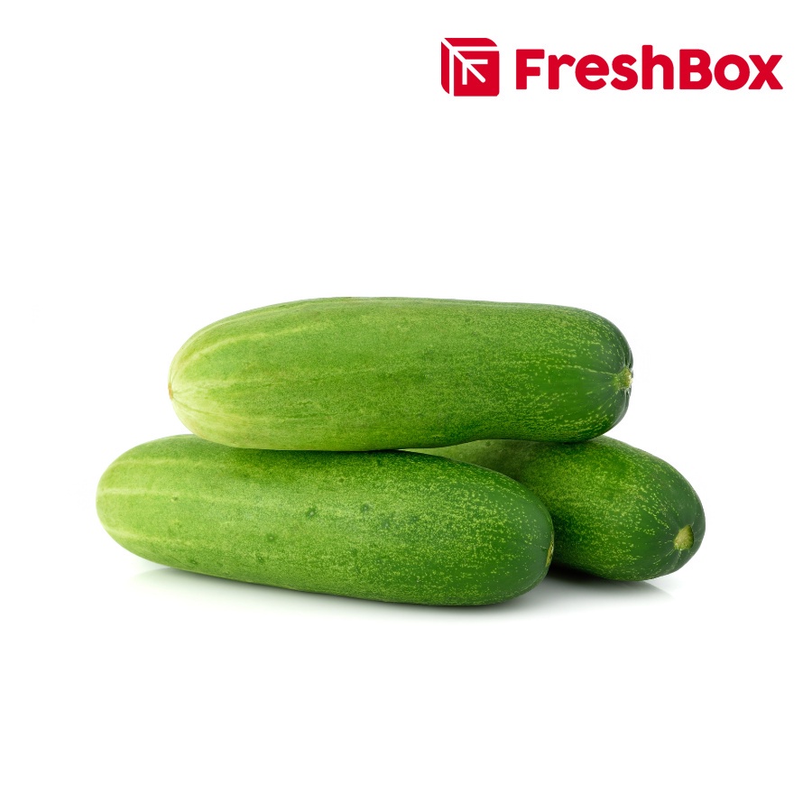 

Timun (Cucumber) 500 gr FreshBox