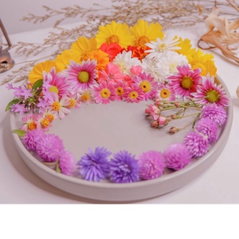 Edible Flower Hiasan Bunga Asli Untuk Garnish Penghias Puding Edible