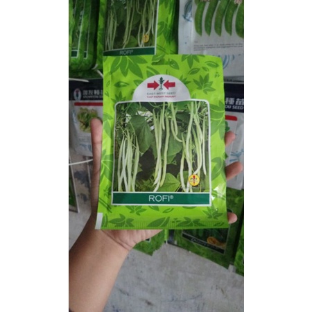 Benih Buncis ROFI