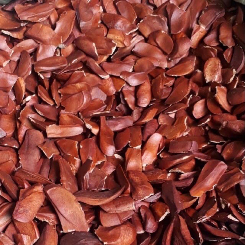 

Biji Mahoni (Buah Tunjuk Langit) vacum packing /500gr