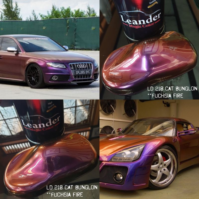 cat bunglon Fuchsia Fire Leander chameleon