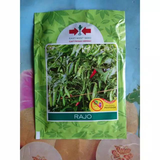 Benih Biji Bibit Cabe Rawit Hijau RAJO 2250 Biji