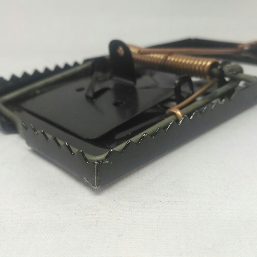 Jebakan Perangkap Tikus Jepit Mouse Trap