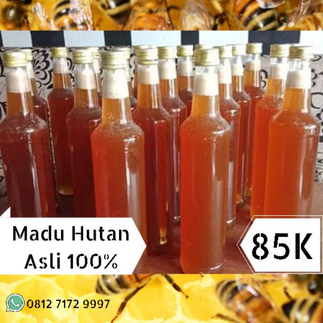 

Madu Hutan Asli