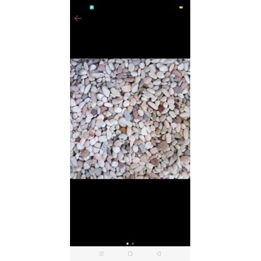Batu panca warna 8kg