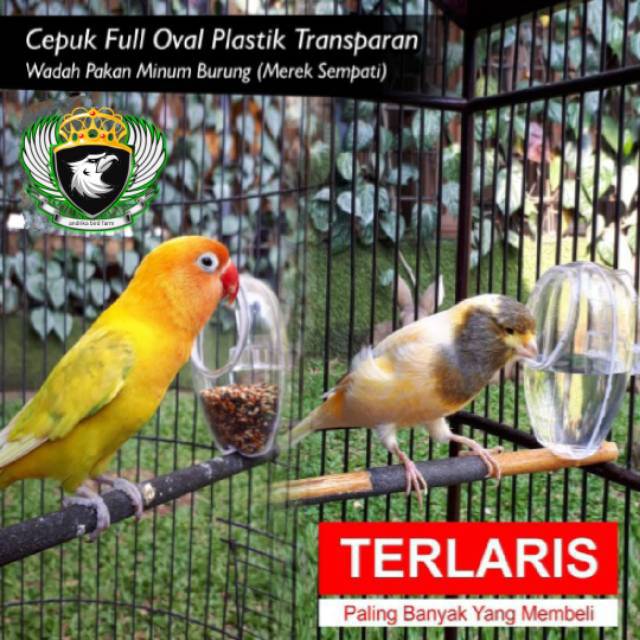 CEPUK WADAH PAKAN MINUM BURUNG FULL OVAL PLASTIK TRANSPARAN ANTI TUMPAH SEMPATI LOVEBIRD MURAI DLL