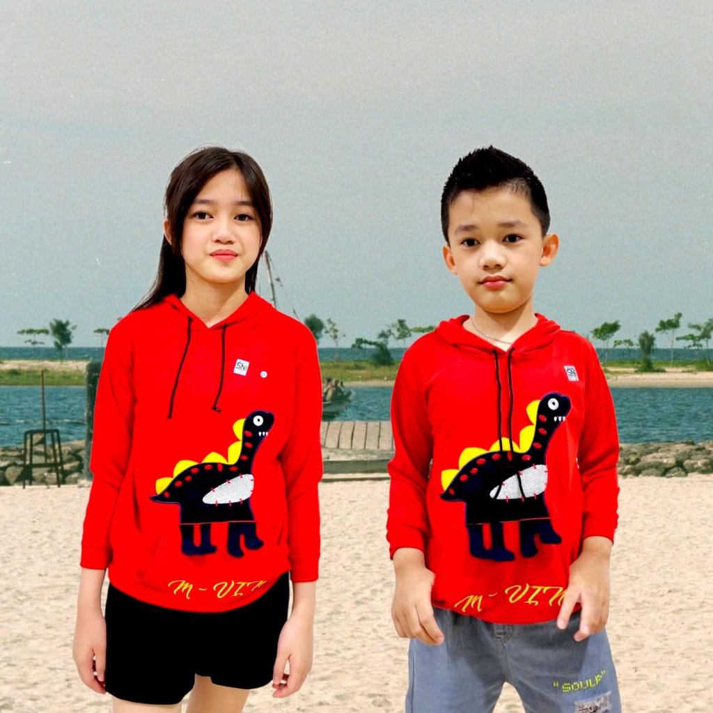 Hoodie Anak Bordir Babytery/Sweater Anak Hoodie/Atasan Hoodie Anak Unisex 1-12Tahun M-VIN