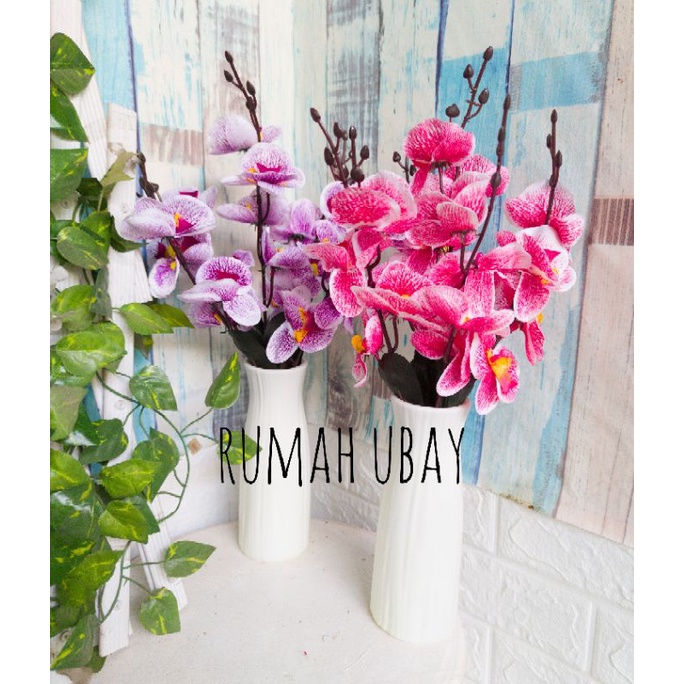 [COD]✓ ANGGREK 5 CABANG + VAS BOTOL