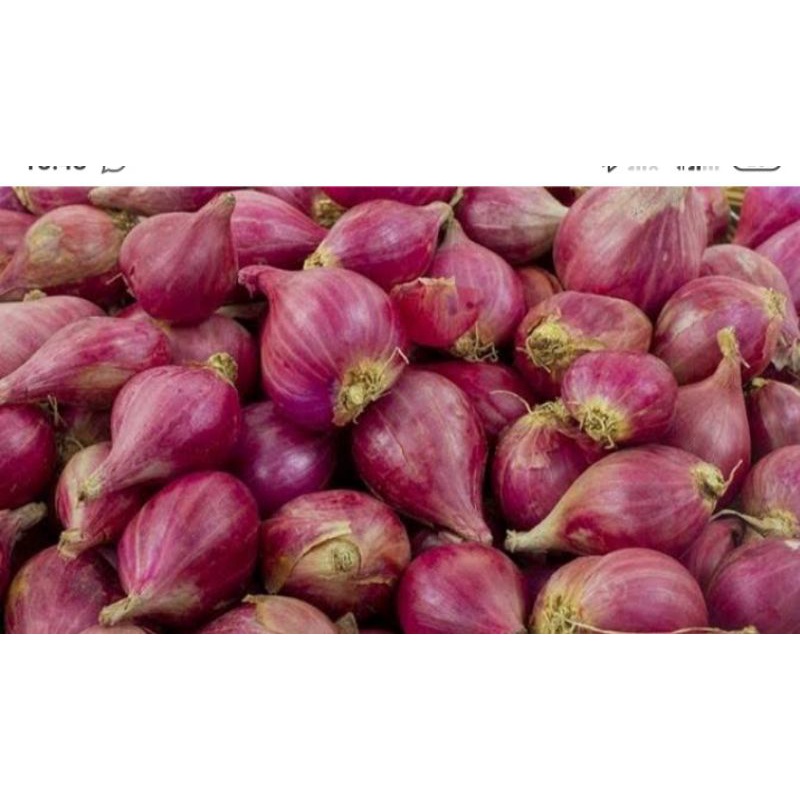 

Bawang Merah/brambang serba 5ribu