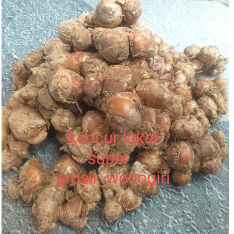 KENCUR SEGAR 1 KG  - KENCUR JAWA