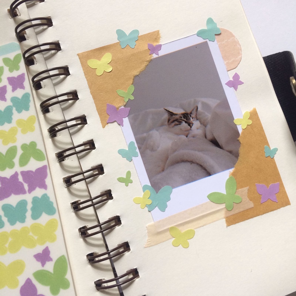 

Butterfly Glitter Deco Sticker/Polco Sticker