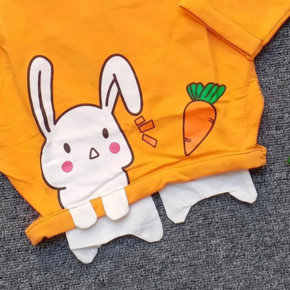  PROMO  hb ATASAN IMPORT RABBIT C1923 baju  sweater bayi  