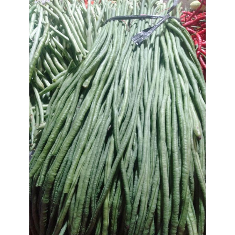 

Kacang panjang (250gr)