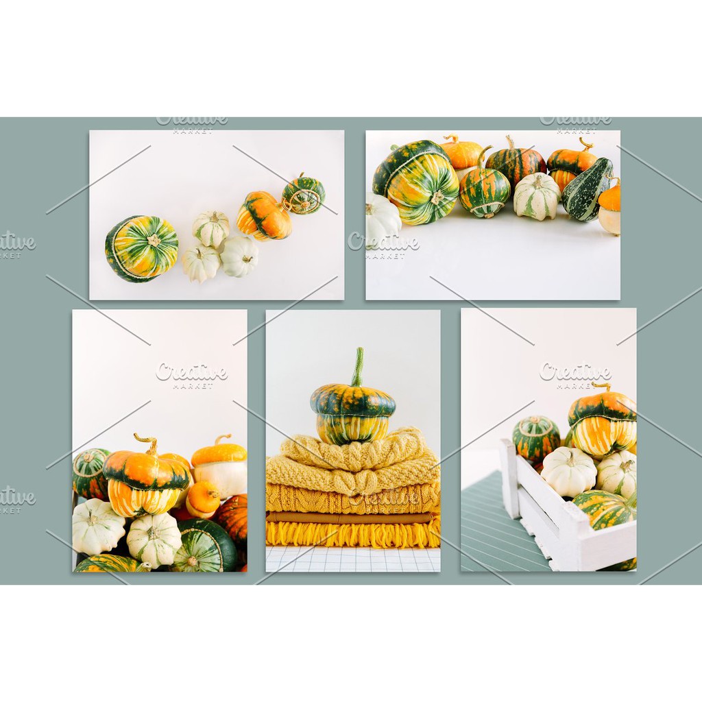 Decorative Pumpkins Bundle - JPEG Ultra HD - Stock Photo