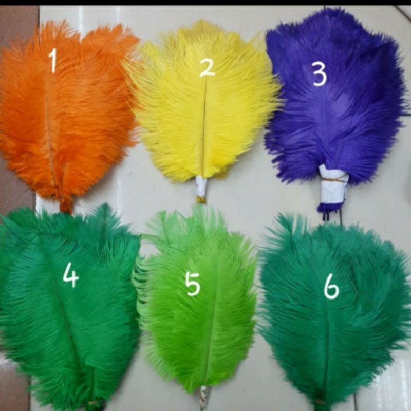 Bulu Ostrich Tangkai Uk 21-25cm