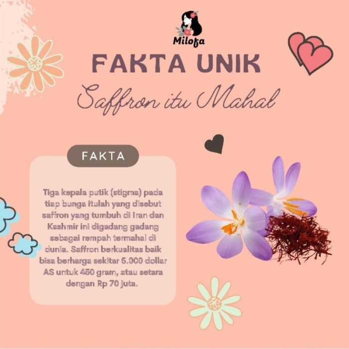 FS100 - Saffron MILOFA Face Mist Spray Untuk All Type Skin BPOM 100ml