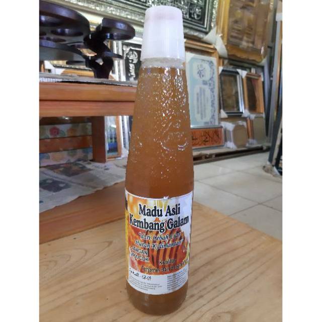 

Madu asli kembang galam (dari lebah liar hutan kalimantan)