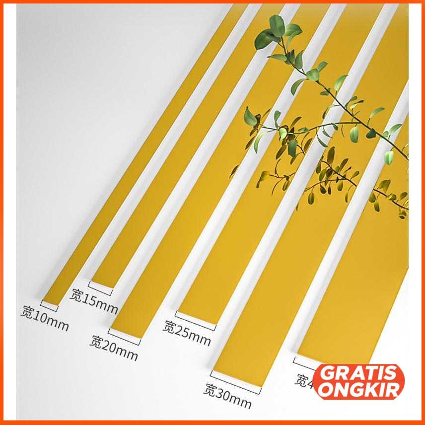 Stiker 3D Dekorasi Dinding Strip Stainless Steel 2 x 500 CM - Z25