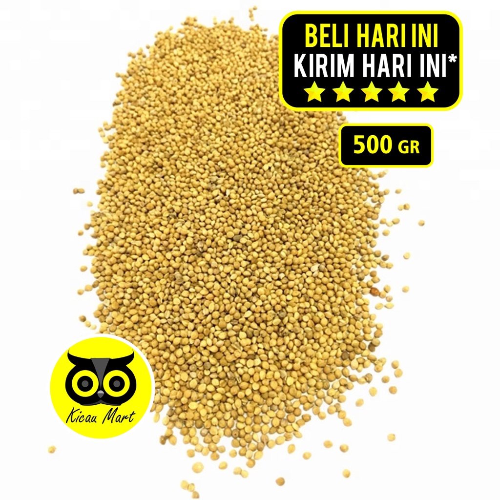 Milet Kuning 500 Gram Sempati Pakan Burung Lovebird Parkit Love Bird Lb Kenari Finch Millet Kuning Pakan Perkutut Gacor Hamster