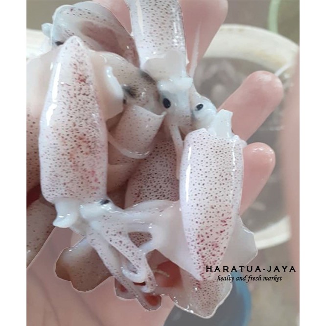 

Bayi Cumi