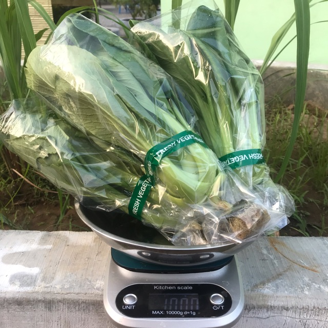 

fress kemasan 1kg murah Sayur pakcoy