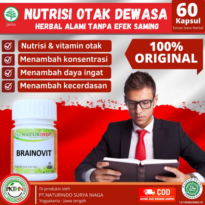 vitamin otak dewasa dan anak anak menambah konsentrasi dan daya ingat nutrisi dan vitamin otak anti pikun