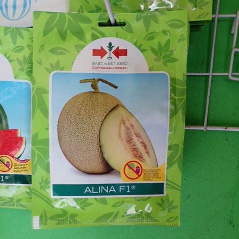 Benih Biji Bibit Buah Melon Madu ALINA F1 Isi 40biji