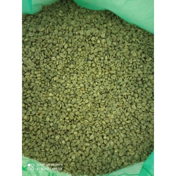 

Ijen Green Bean Arabica / Biji Kopi Arabica Grade 1