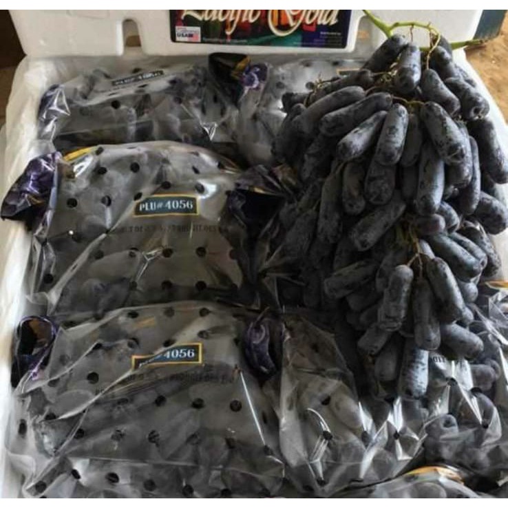 

anggur moondrop / anggur sweet sapphire / auntumn black sappire grapes seedles tanpa biji