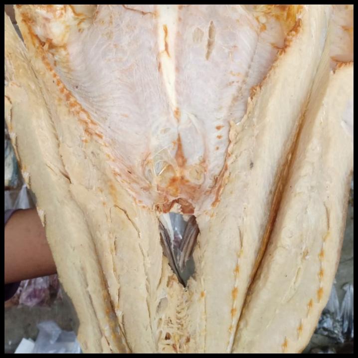 

Ikan Asin Jambal Roti Per 1000 Gr