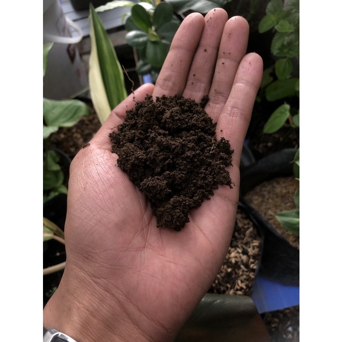 Media Tanam - TANAH MALANG HUMUS KOMPOS ORGANIK LEMBANG - 5kg