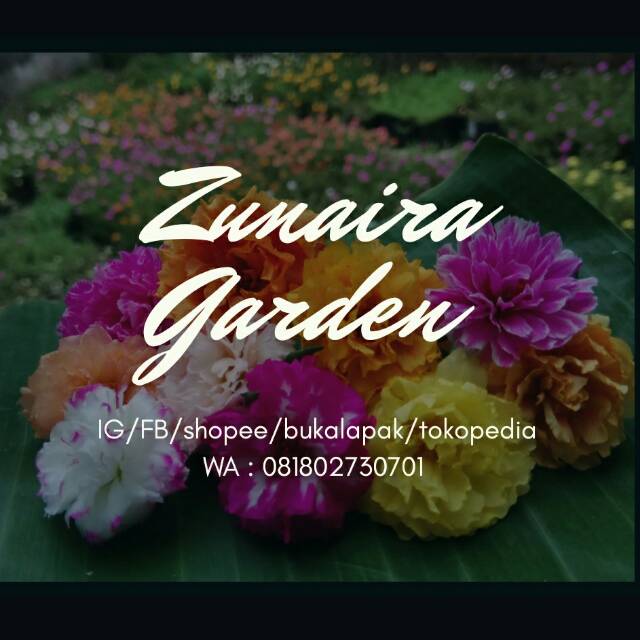 zunairagarden