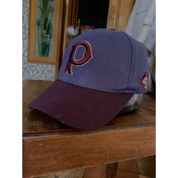 TOPI LOGO P