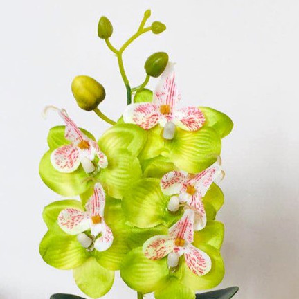 Cinta Lama/ Dekorasi Bunga Plastik Hiasan Rumah Tanaman Artificial Flower Import / PBP 08 / PBP 10-8